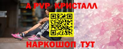 spice Дубна